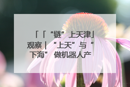 「“链”上天津」观察｜“上天”与“下海” 做机器人产业链细分领域强者