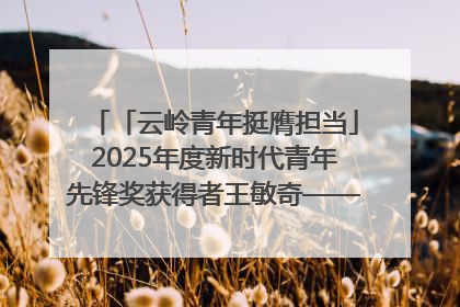 「云岭青年挺膺担当」2025年度新时代青年先锋奖获得者王敏奇——澜沧江上好渔人