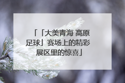 「大美青海 高原足球」赛场上的精彩 展区里的惊喜