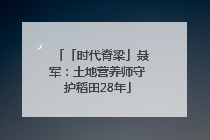 「时代脊梁」聂军：土地营养师守护稻田28年