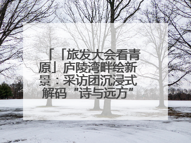 「旅发大会看青原」庐陵湾畔绘新景：采访团沉浸式解码“诗与远方”（图）