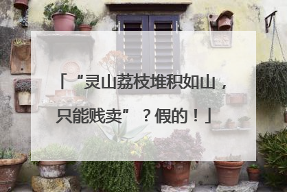 “灵山荔枝堆积如山，只能贱卖”？假的！