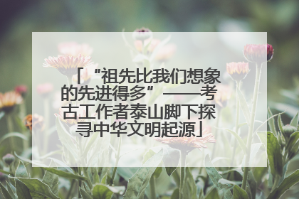 “祖先比我们想象的先进得多”——考古工作者泰山脚下探寻中华文明起源