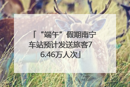 “端午”假期南宁车站预计发送旅客76.46万人次