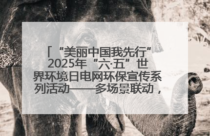 “美丽中国我先行” 2025年“六·五”世界环境日电网环保宣传系列活动——多场景联动，共筑生态发展新图景