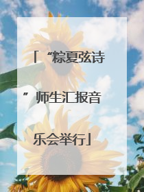 “粽夏弦诗”师生汇报音乐会举行