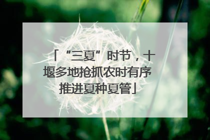 “三夏”时节，十堰多地抢抓农时有序推进夏种夏管