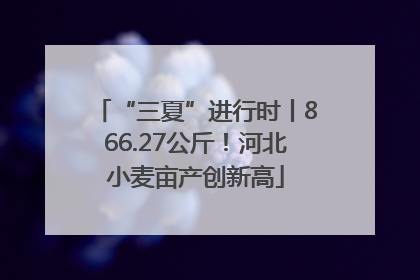 “三夏”进行时丨866.27公斤！河北小麦亩产创新高