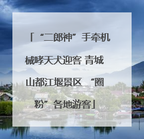 “二郎神”手牵机械哮天犬迎客 青城山都江堰景区 “圈粉”各地游客