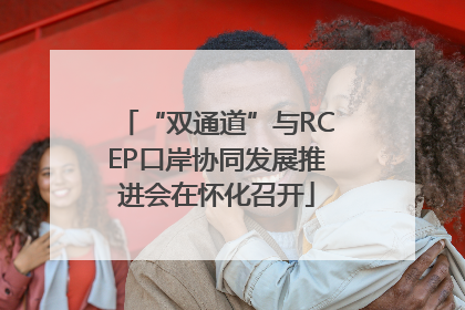 “双通道”与RCEP口岸协同发展推进会在怀化召开