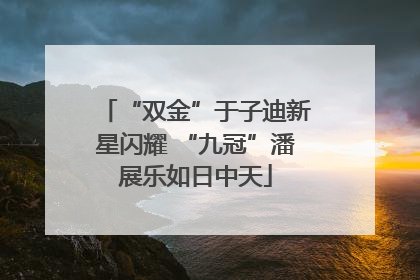 “双金”于子迪新星闪耀 “九冠”潘展乐如日中天
