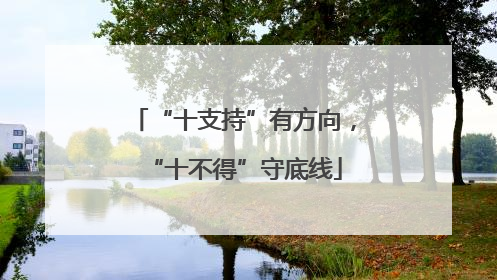 “十支持”有方向，“十不得”守底线