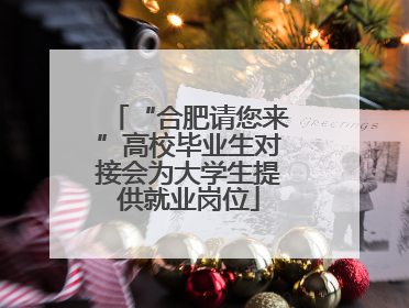 “合肥请您来”高校毕业生对接会为大学生提供就业岗位
