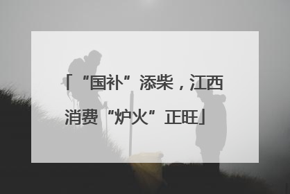 “国补”添柴，江西消费“炉火”正旺