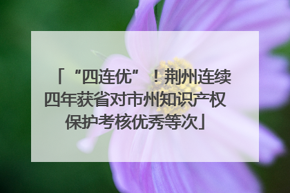“四连优”！荆州连续四年获省对市州知识产权保护考核优秀等次