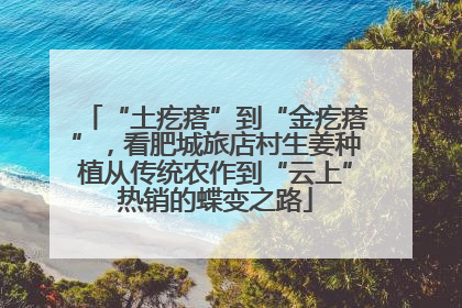 “土疙瘩”到“金疙瘩”，看肥城旅店村生姜种植从传统农作到“云上”热销的蝶变之路