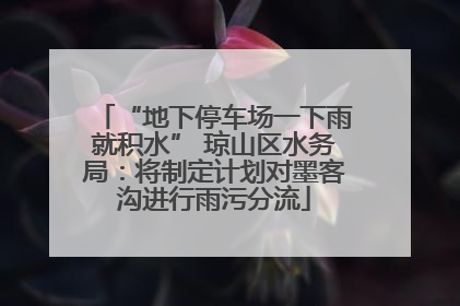 “地下停车场一下雨就积水” 琼山区水务局：将制定计划对墨客沟进行雨污分流