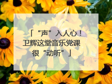“声”入人心！卫辉这堂音乐党课很“动听”