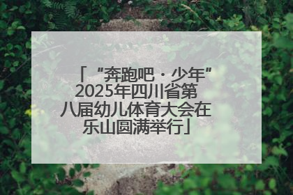 “奔跑吧・少年”2025年四川省第八届幼儿体育大会在乐山圆满举行