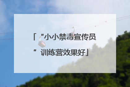 “小小禁毒宣传员”训练营效果好