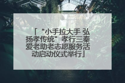 “小手拉大手 弘扬孝传统”孝行三秦爱老助老志愿服务活动启动仪式举行