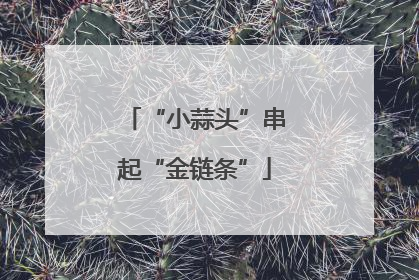 “小蒜头”串起“金链条”