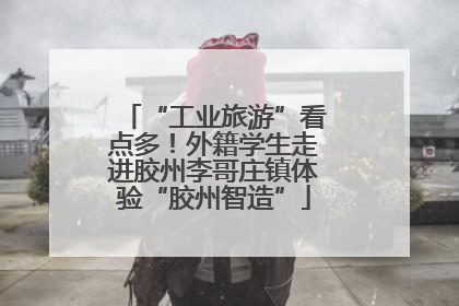 “工业旅游”看点多！外籍学生走进胶州李哥庄镇体验“胶州智造”