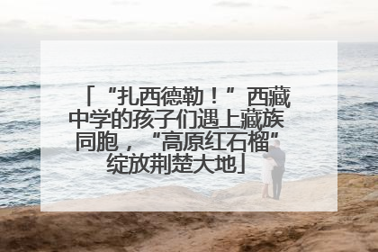 “扎西德勒！”西藏中学的孩子们遇上藏族同胞，“高原红石榴”绽放荆楚大地