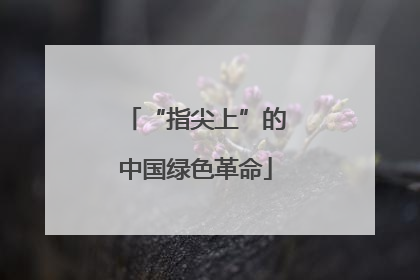 “指尖上”的中国绿色革命