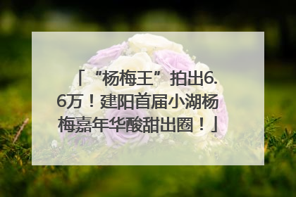 “杨梅王”拍出6.6万！建阳首届小湖杨梅嘉年华酸甜出圈！
