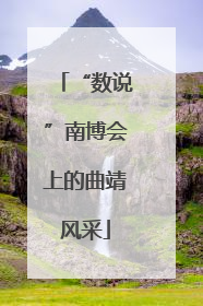 “数说”南博会上的曲靖风采