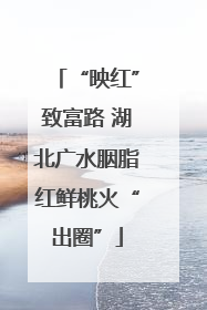 “映红”致富路 湖北广水胭脂红鲜桃火“出圈”