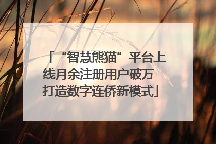“智慧熊猫”平台上线月余注册用户破万 打造数字连侨新模式