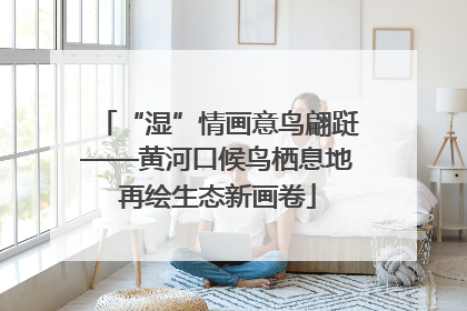 “湿”情画意鸟翩跹——黄河口候鸟栖息地再绘生态新画卷