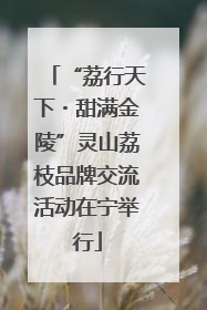 “荔行天下・甜满金陵”灵山荔枝品牌交流活动在宁举行