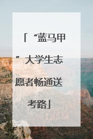“蓝马甲”大学生志愿者畅通送考路