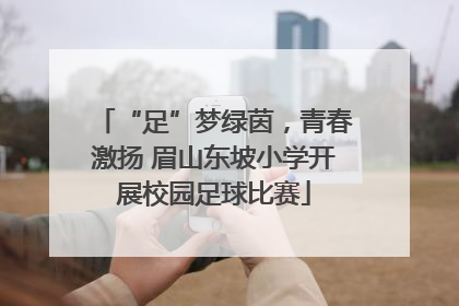 “足”梦绿茵，青春激扬 眉山东坡小学开展校园足球比赛