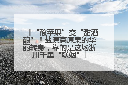 “酸苹果”变“甜酒酿”！盐源高原果的华丽转身，靠的是这场浙川千里“联姻”