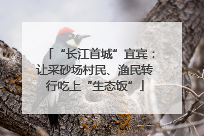 “长江首城”宜宾：让采砂场村民、渔民转行吃上“生态饭”