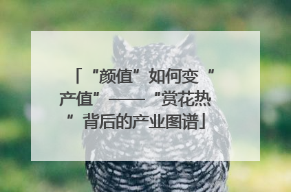 “颜值”如何变“产值”——“赏花热”背后的产业图谱