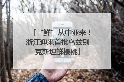 “鲜”从中亚来！浙江迎来首批乌兹别克斯坦鲜樱桃