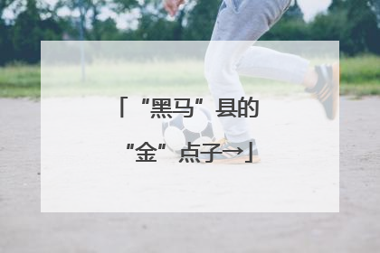 “黑马”县的“金”点子→