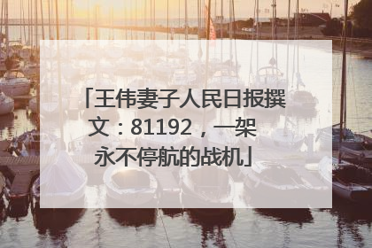 王伟妻子人民日报撰文：81192，一架永不停航的战机