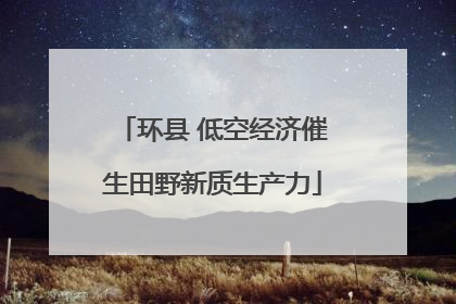 环县 低空经济催生田野新质生产力