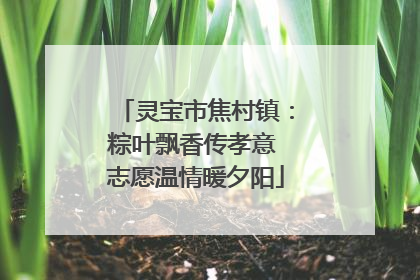 灵宝市焦村镇：粽叶飘香传孝意 志愿温情暖夕阳