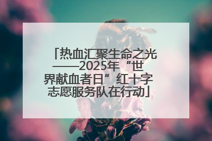 热血汇聚生命之光——2025年“世界献血者日”红十字志愿服务队在行动