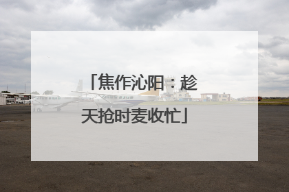 焦作沁阳：趁天抢时麦收忙