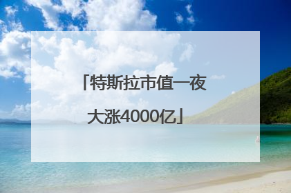 特斯拉市值一夜大涨4000亿