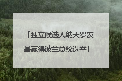 独立候选人纳夫罗茨基赢得波兰总统选举