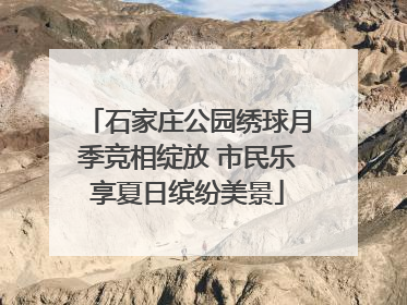 石家庄公园绣球月季竞相绽放 市民乐享夏日缤纷美景